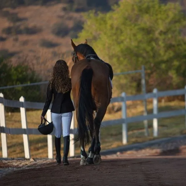 Почему люди считают, что конный спорт легкий?