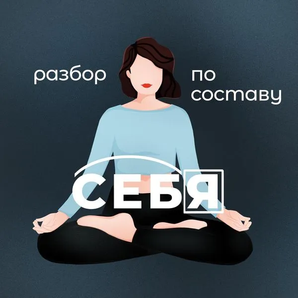 разбор по составу СЕБЯ