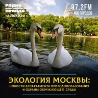 На муниципальном форуме стран БРИКС+ рассказали о московской системе экомониторинга
