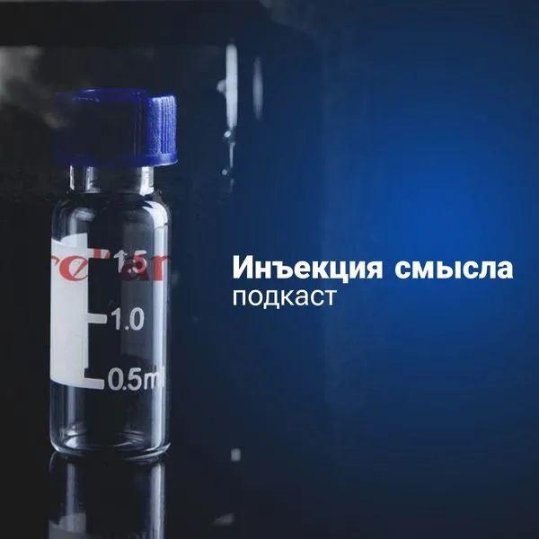 Инъекция смысла