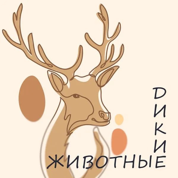 Дикие животные