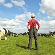 Про Фермеров России. Молочная промышленность.