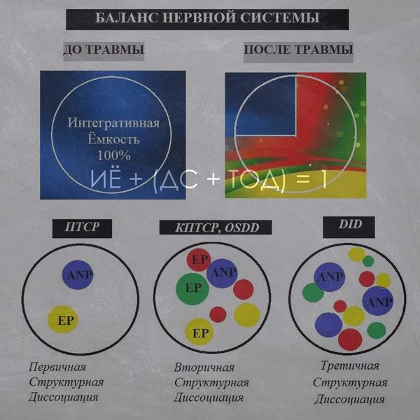 Теория Андреевой