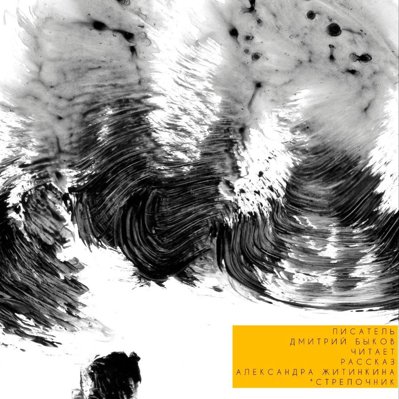 Дмитрий Быков* читает: Александр Житинский, «Стрелочник» episode artwork