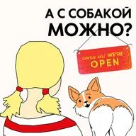 Как собаке стать терапевтом и чем отличается мозг у собак разных пород?