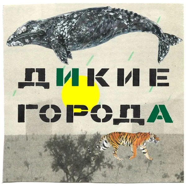Дикие города