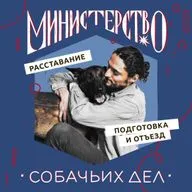 Как подготовить собаку к переезду или расставанию. Разговор с кинологом