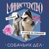 Зачем водить собаку на груминг?