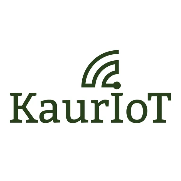 KaurIoT об IT