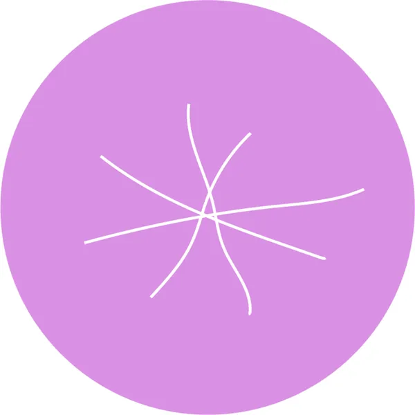 Забыли Рифму в Москве