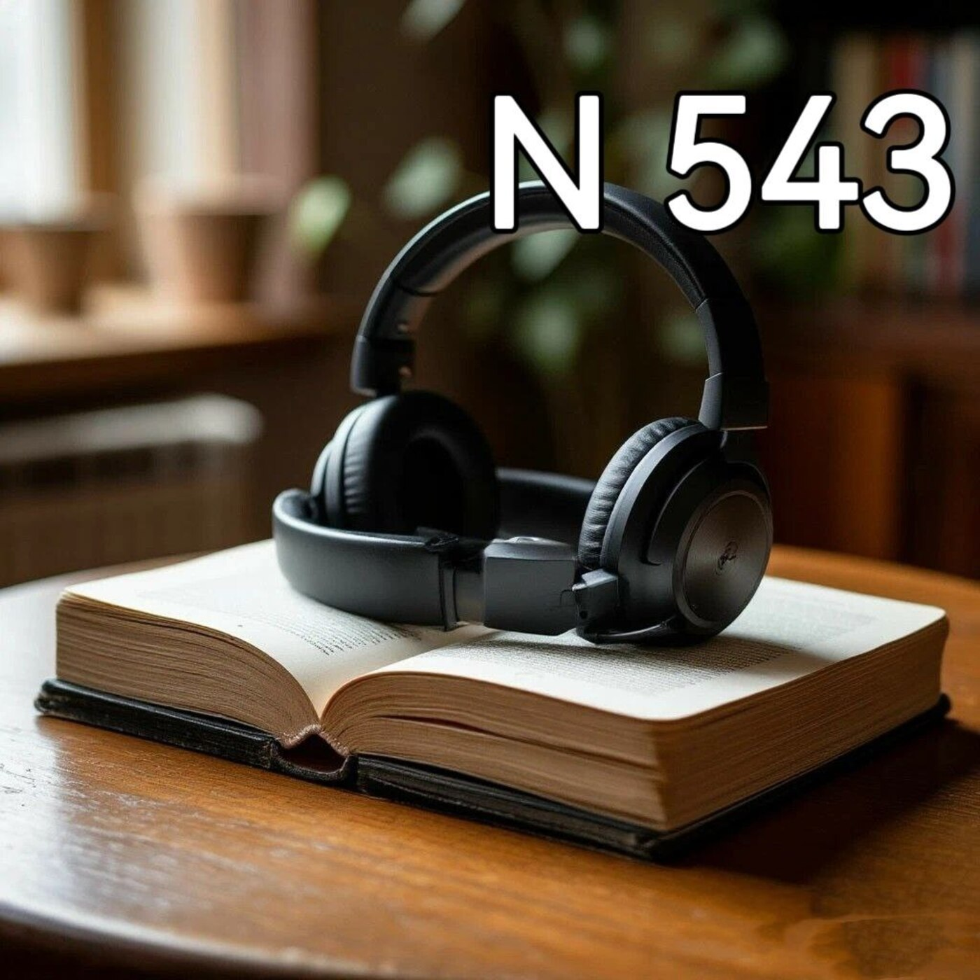 Книга N 543 "Без жалости к себе" Автор: Эрик Ларссен episode artwork