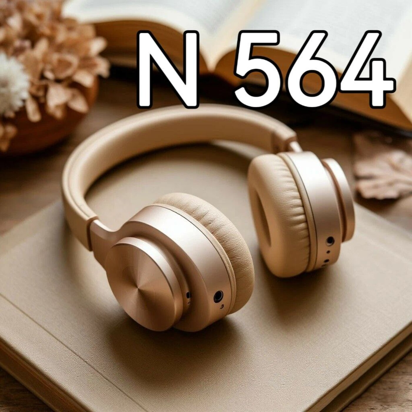 Книга N 564 "Живя вдохновенную жизнь" Автор: Джим Рон episode artwork