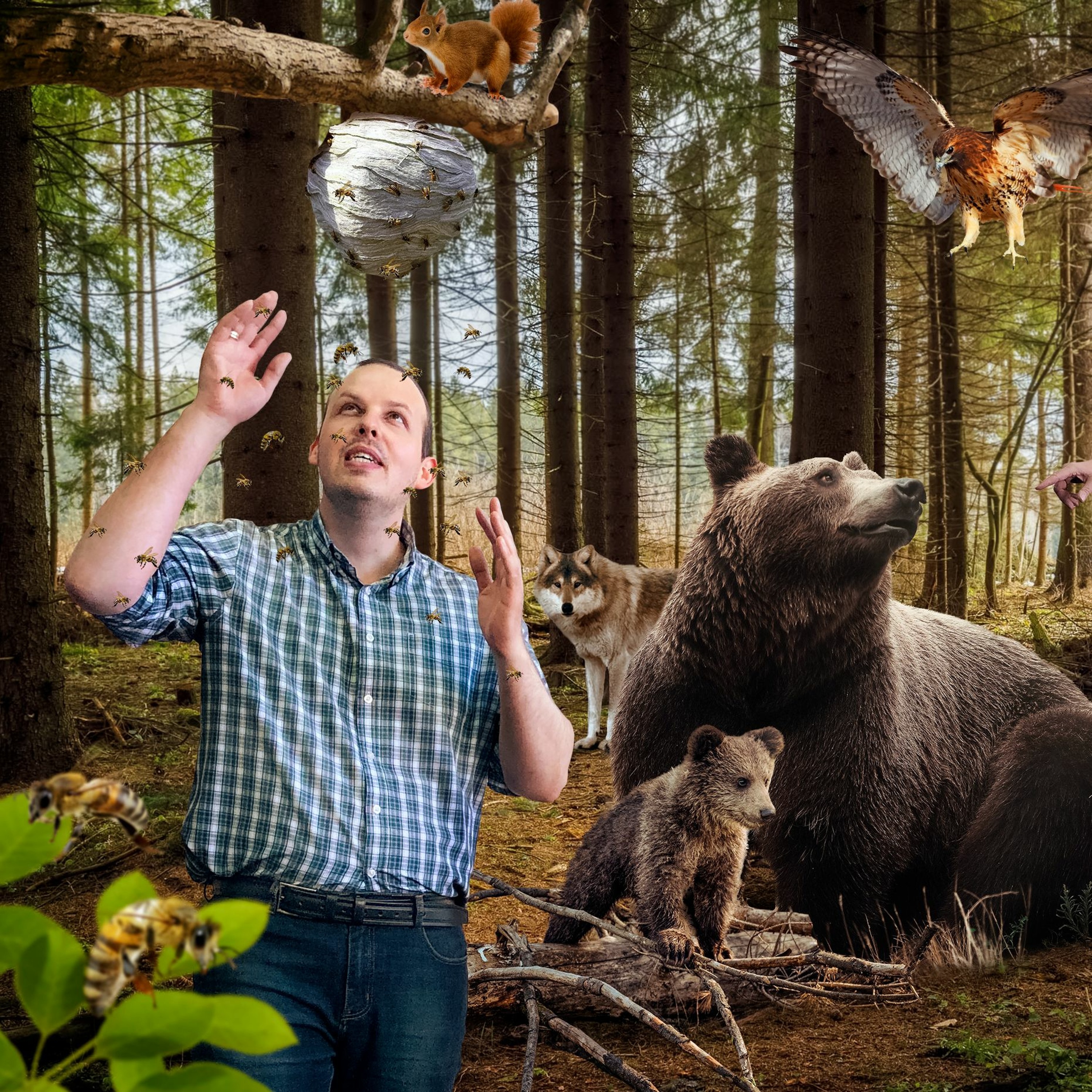 Wild animals in different countries: frightening, dangerous and beautiful episode artwork