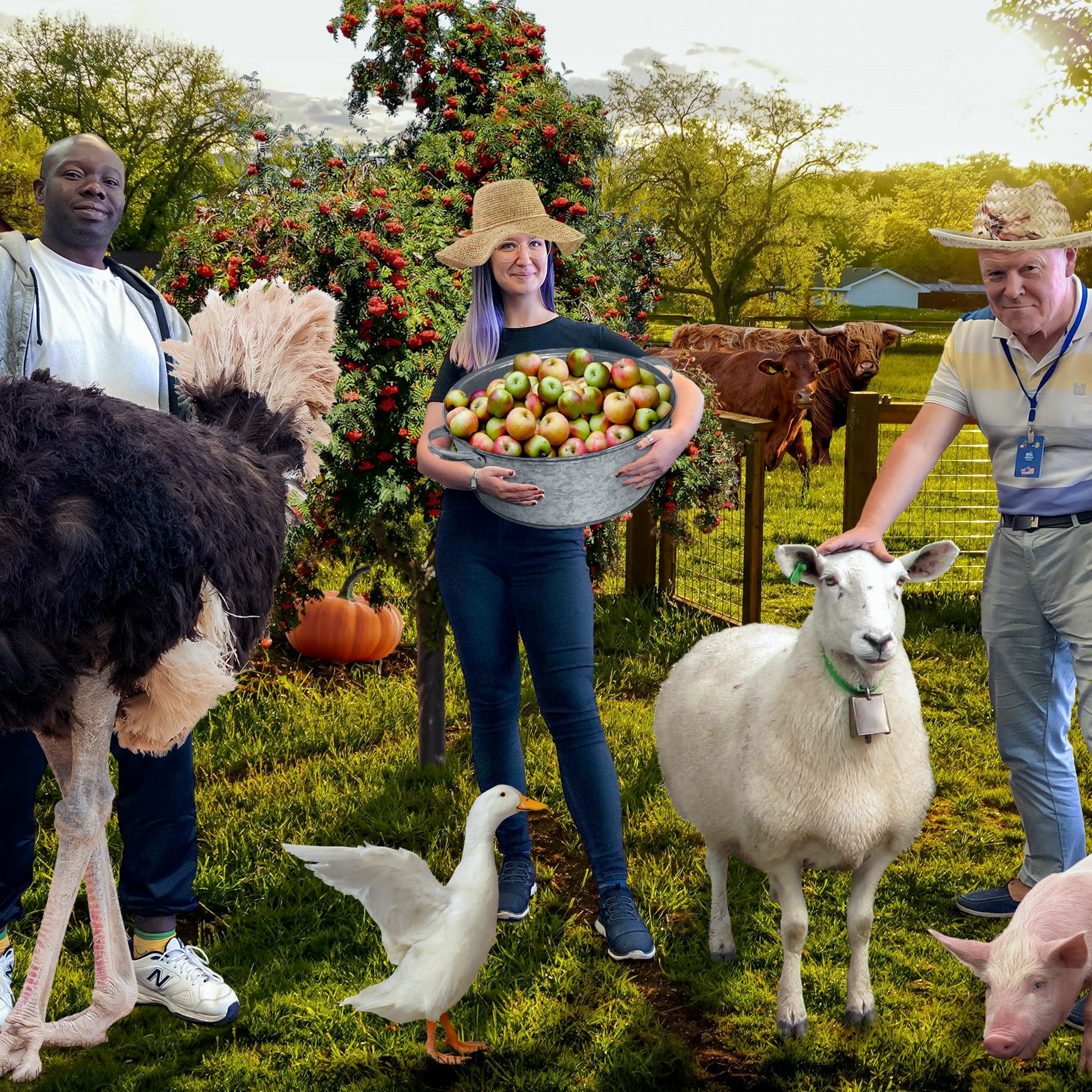 Small scale farming and producing your own food: trend or real healthcare episode artwork
