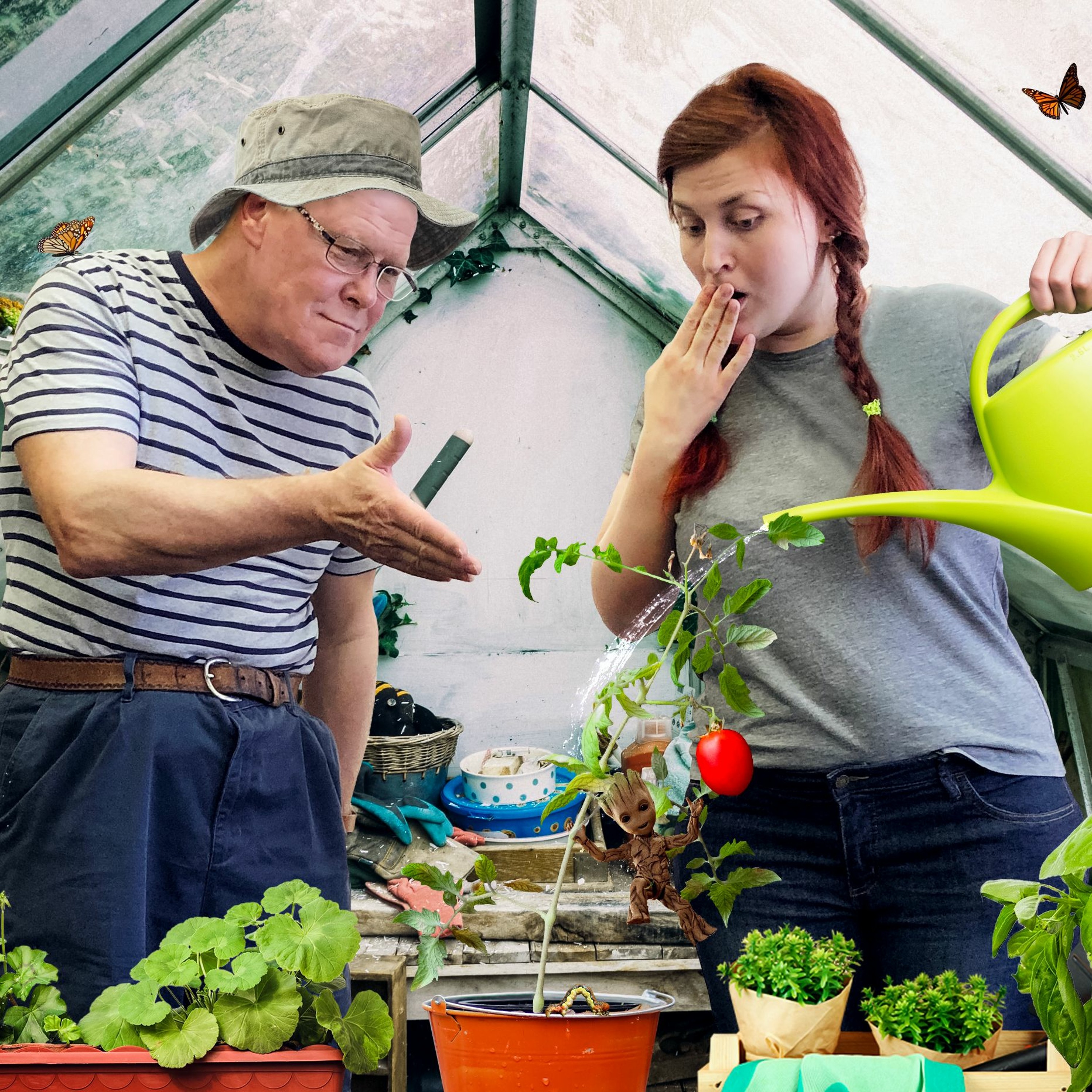 Gardening: how to grow vegetables and herbs on your balcony episode artwork