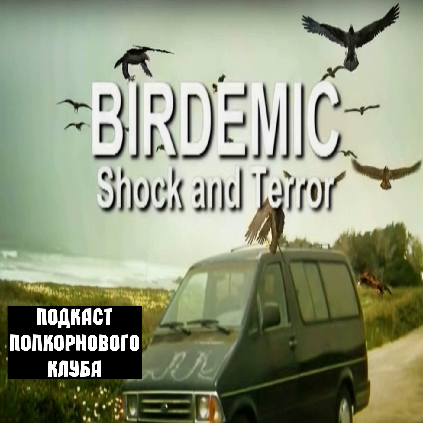 Птицекалипсис: Шок и Трепет - Попкорновый клуб episode artwork