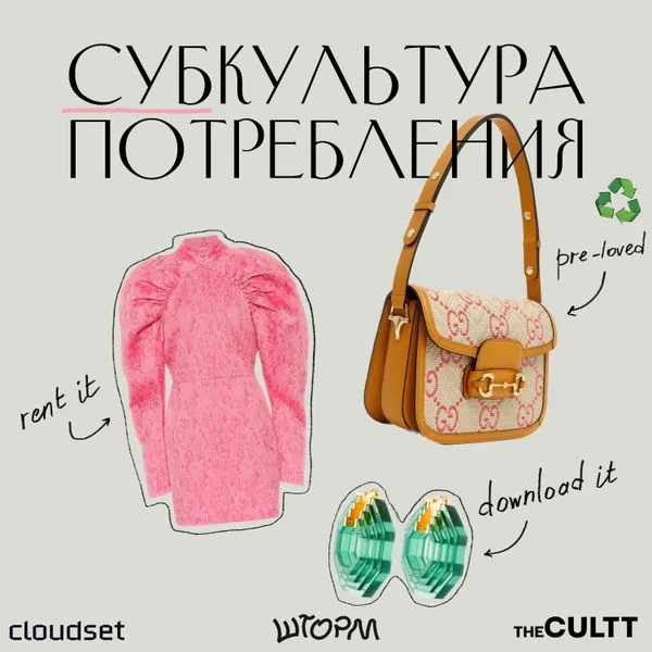 Субкультура потребления