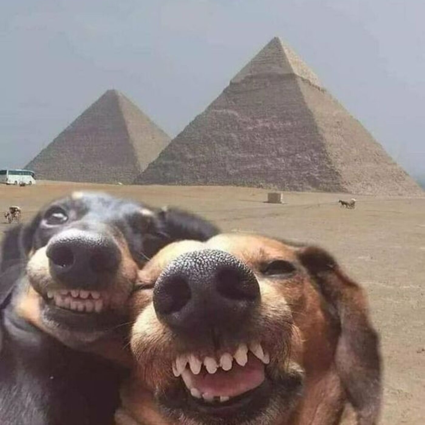 Египетская сила: архитектура Древнего мира