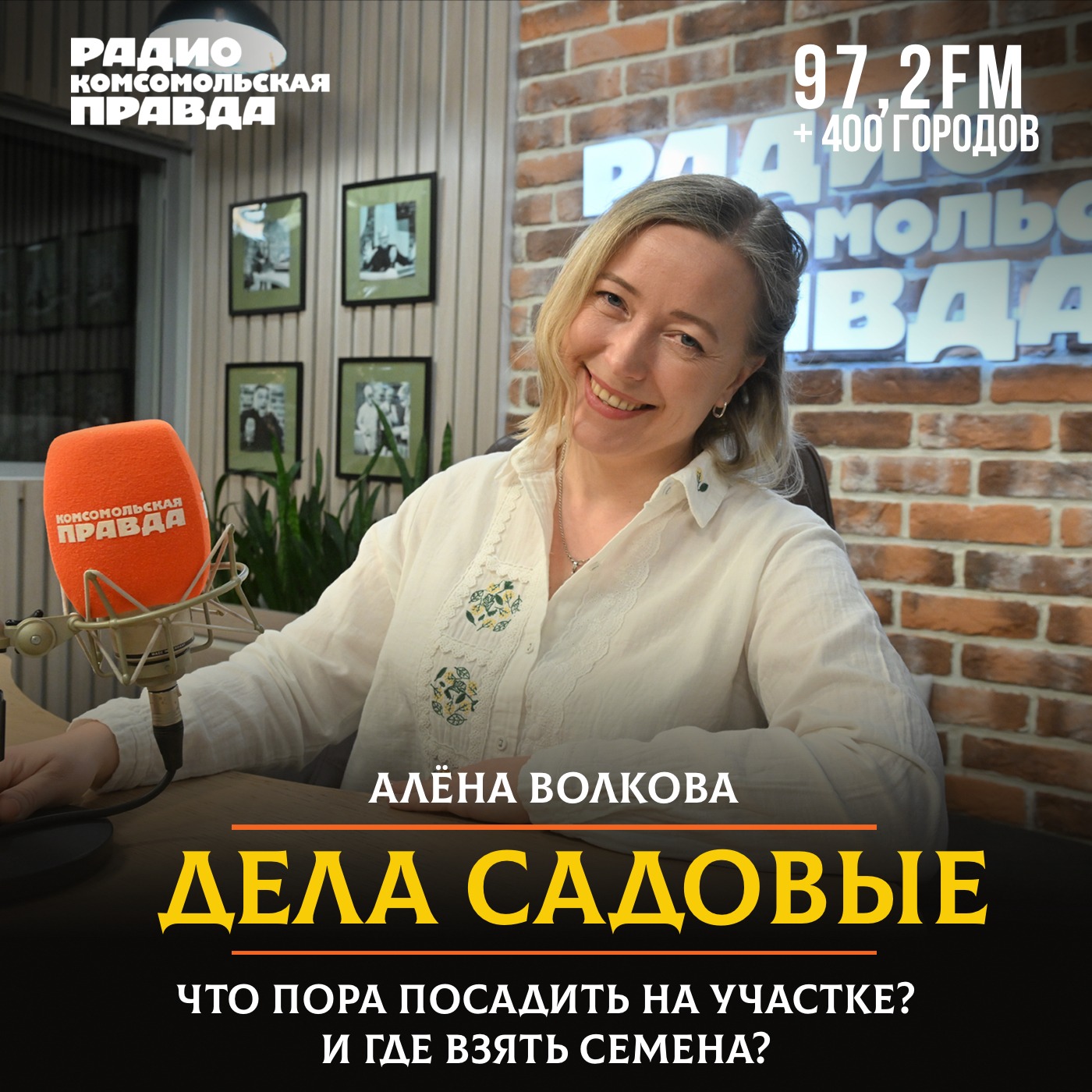 Что пора сажать на участке и где взять семена