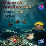 Индийский океан и красная помада