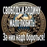 Свободу и Родину мало любить. За них надо бороться. Игорь Белоусов, Алексей Орлов