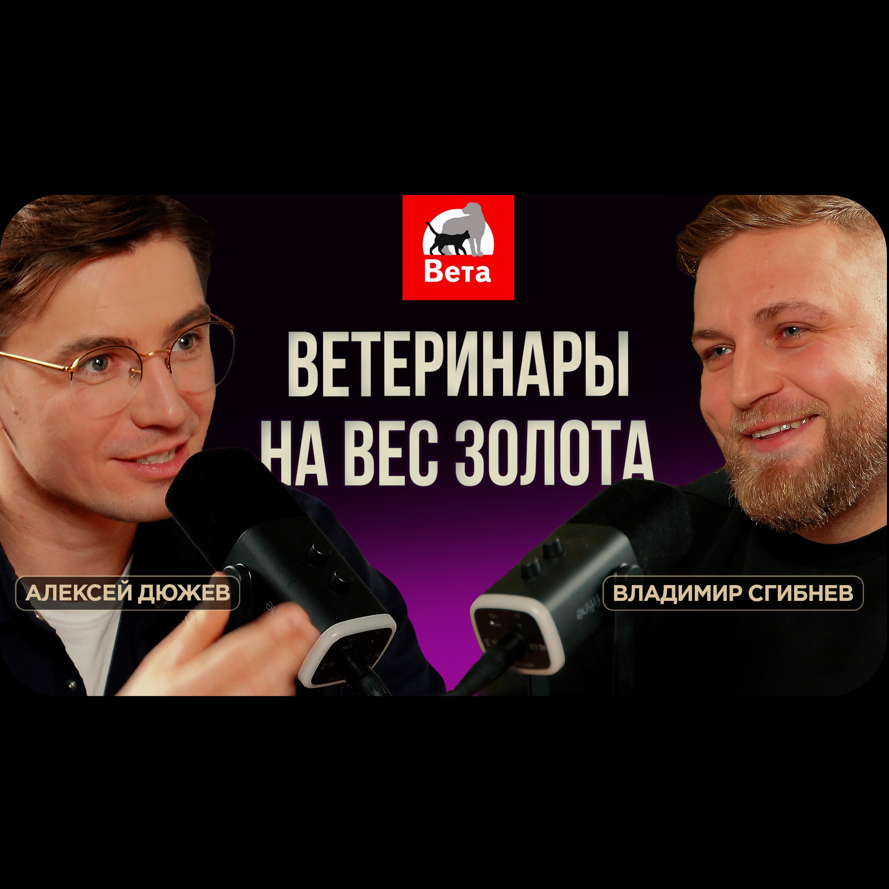 Секреты успешного ветеринарного бизнеса. Владимир Сгибнев, ВЦД Вета episode artwork