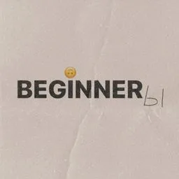 BEGINNERы