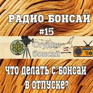 Что делать с бонсай в отпуске? / Радио подкаст - Павел Горбачев