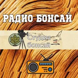 Студия бонсай