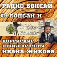 Бонсай и корейские приключения Ивана Жукова