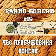 Час пробуждения бонсай / Павел Горбачёв
