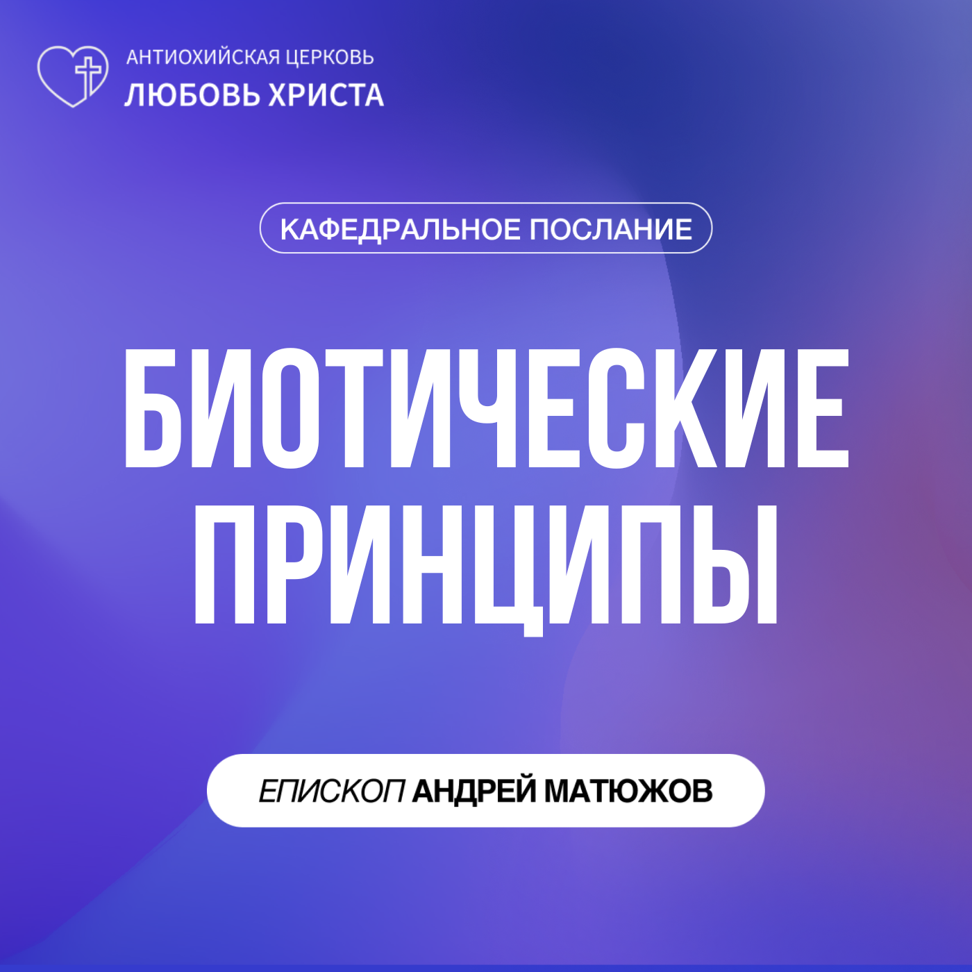 БИОТИЧЕСКИЕ ПРИНЦИПЫ | ЕПИСКОП АНДРЕЙ МАТЮЖОВ episode artwork