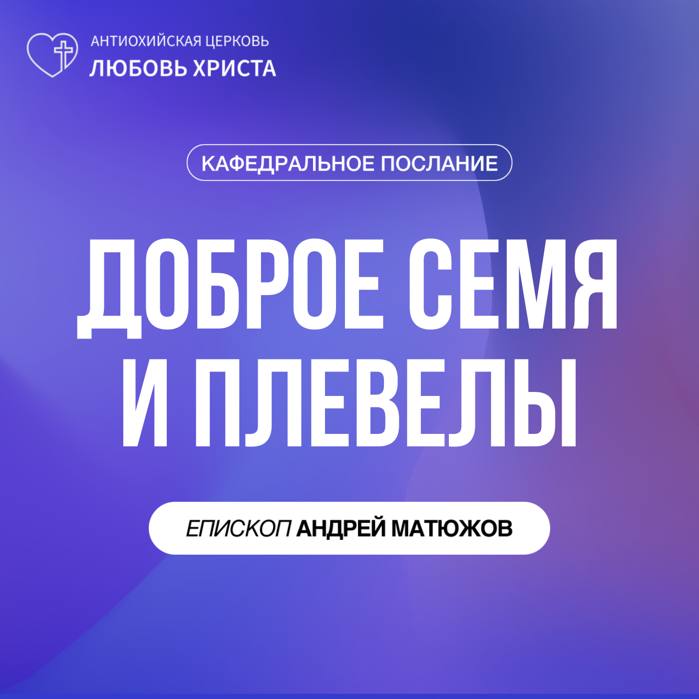 ДОБРОЕ СЕМЯ И ПЛЕВЕЛЫ | ЕПИСКОП АНДРЕЙ МАТЮЖОВ episode artwork