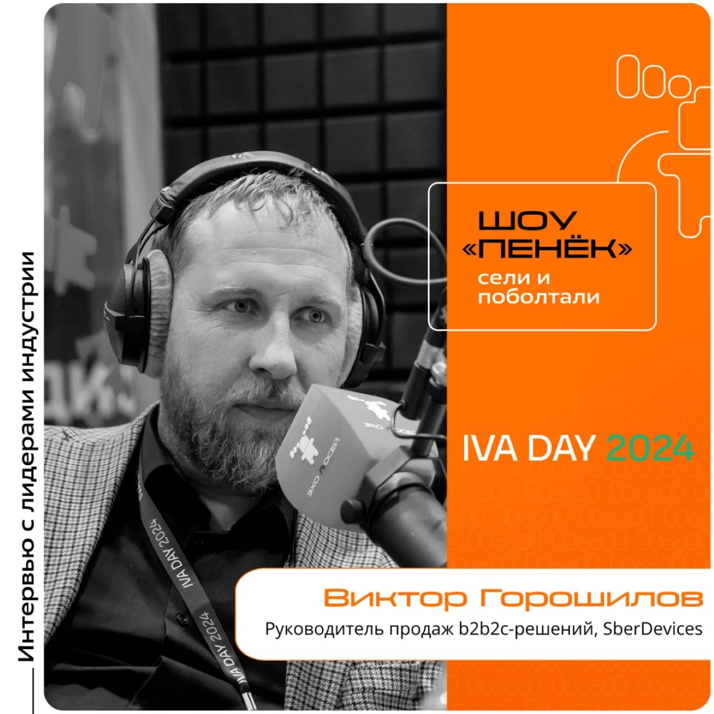 IVA DAY. Виктор Горошилов, SberDevices. Про решения компании, методы продвижения и сервис