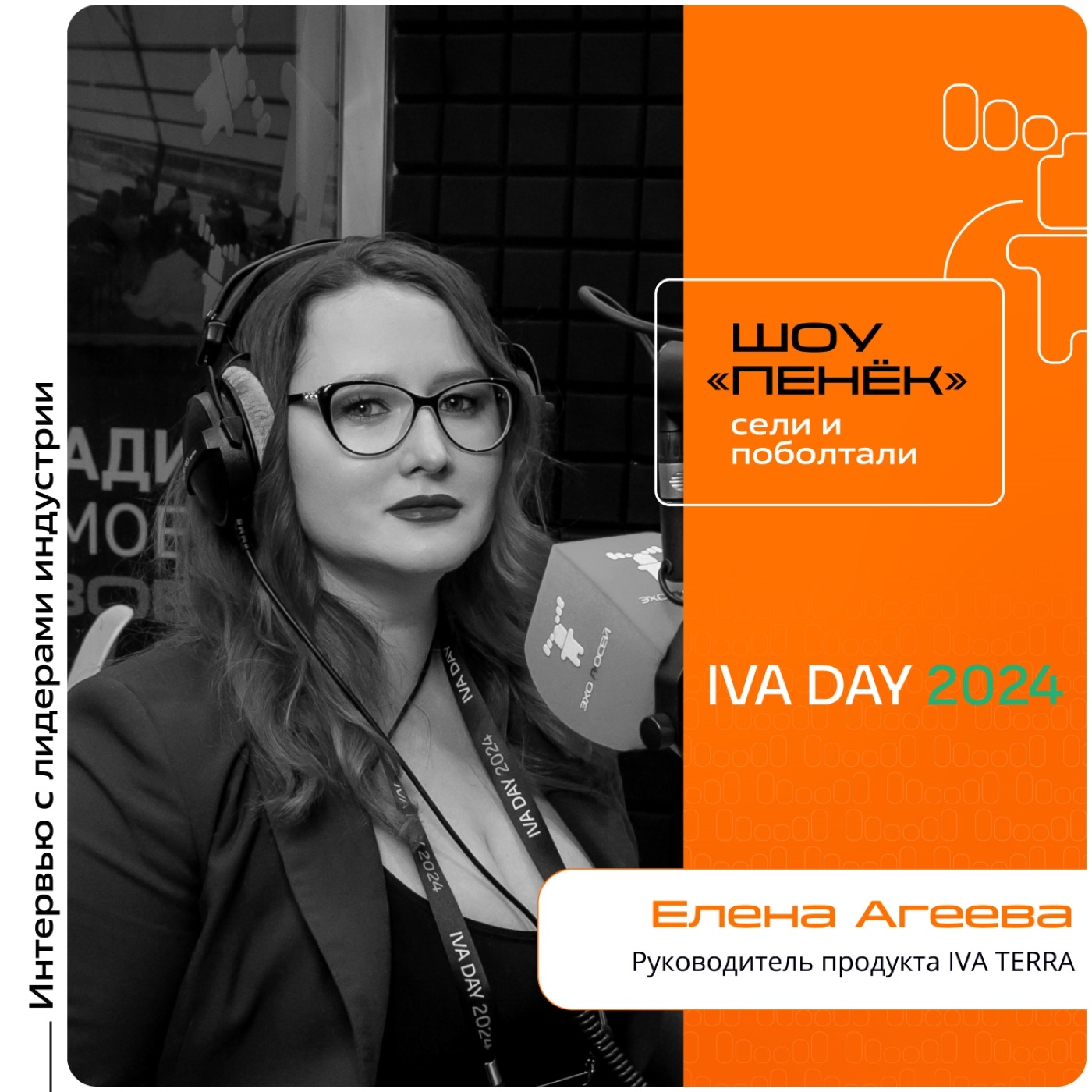 IVA DAY. Елена Агеева, IVA TERRA. Про уникальность продукта, конкуренцию и драйверы бизнеса