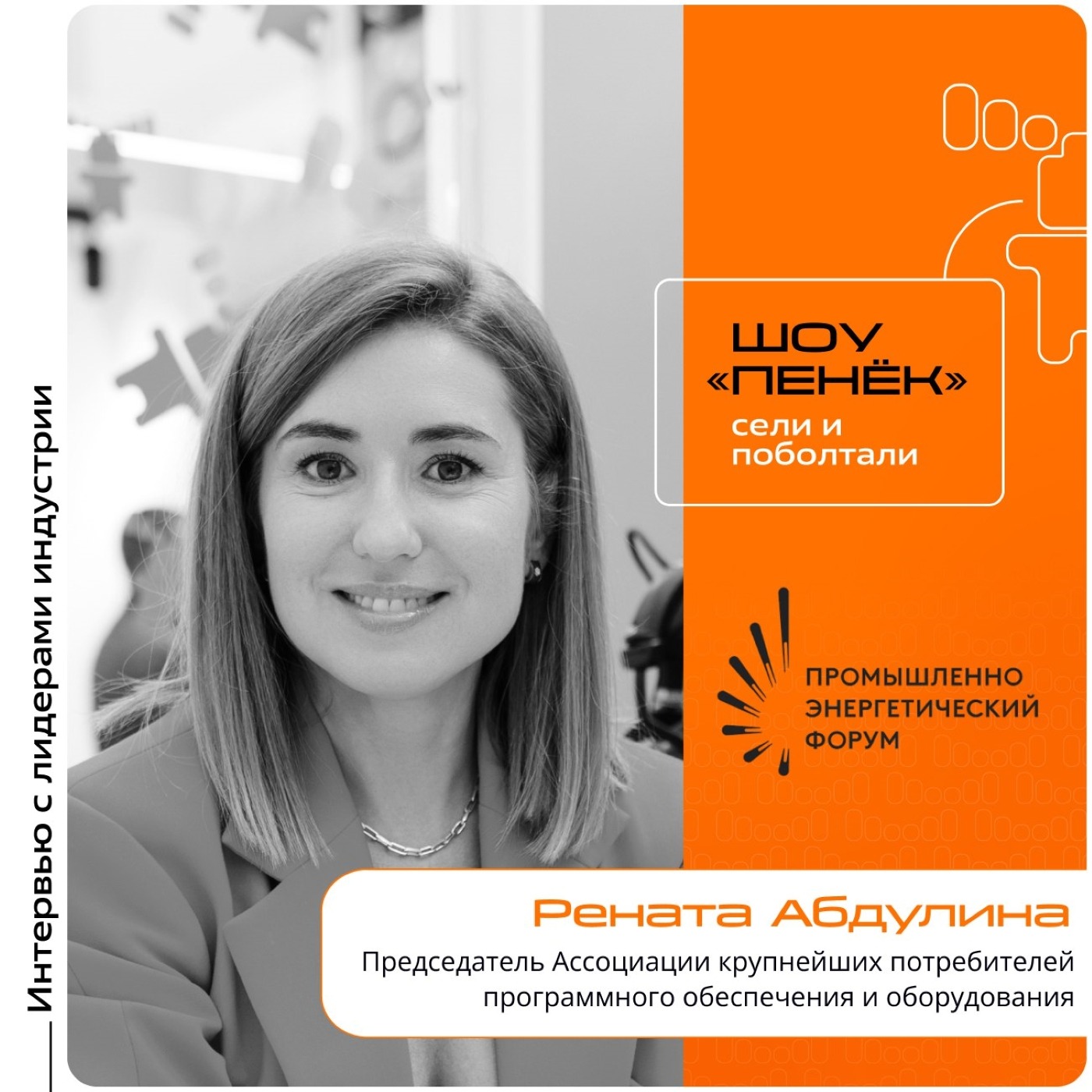 TNF-2025. Рената Абдулина, председатель Ассоциации крупнейших потребителей программного обеспечения и оборудования