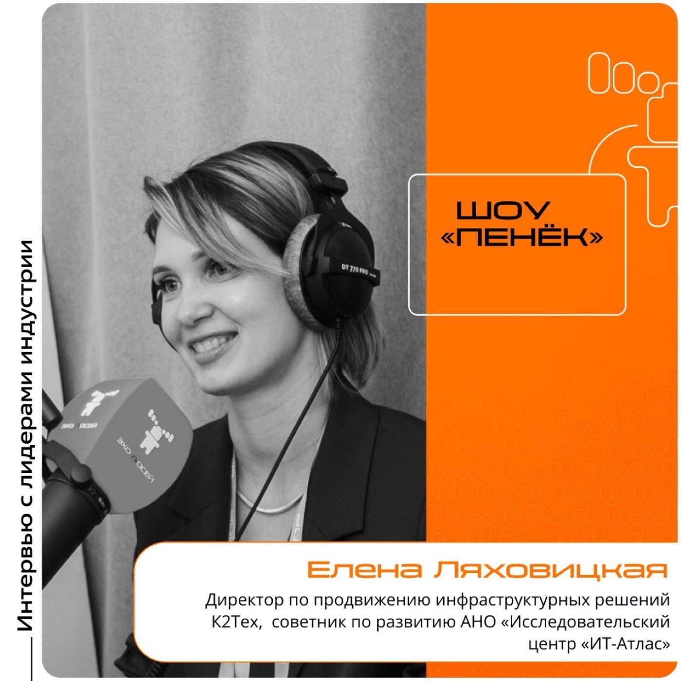 ЦИПР-2025. Елена Ляховицкая, К2Тех. Про аналитику в IT, её особенности и справочник «Зелёная книга»