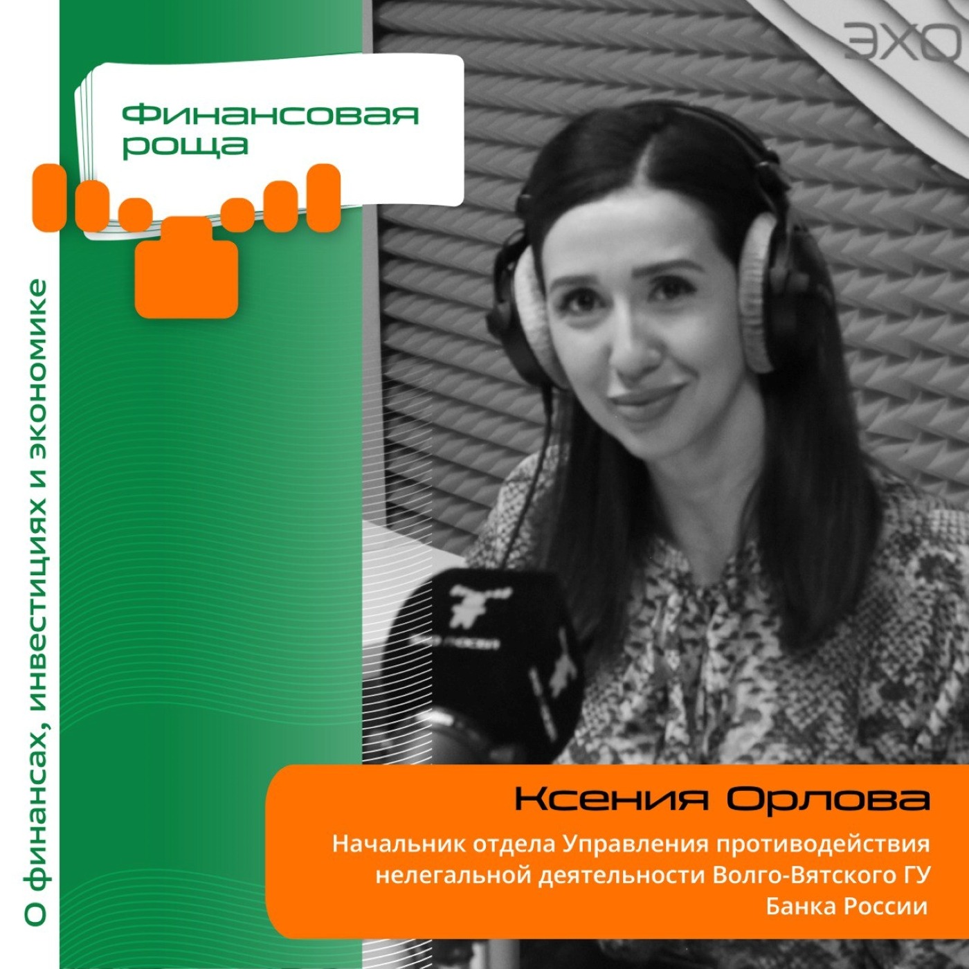 Ксения Орлова, Управление противодействия нелегальной деятельности Волго-Вятского ГУ Банка России