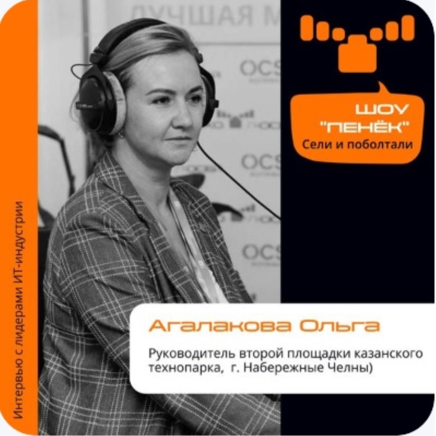 Шоу Пенёк, Ольга Агалакова. Про итоги конференции "Стратегические сессии для предпринимателей г. Набережные Челны" и успешные продукты