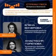 Стражи Леса. Анастасия Горелова, «Лукоморье». Про ИИ в образовании, единый учебник информатики и подготовку специалистов