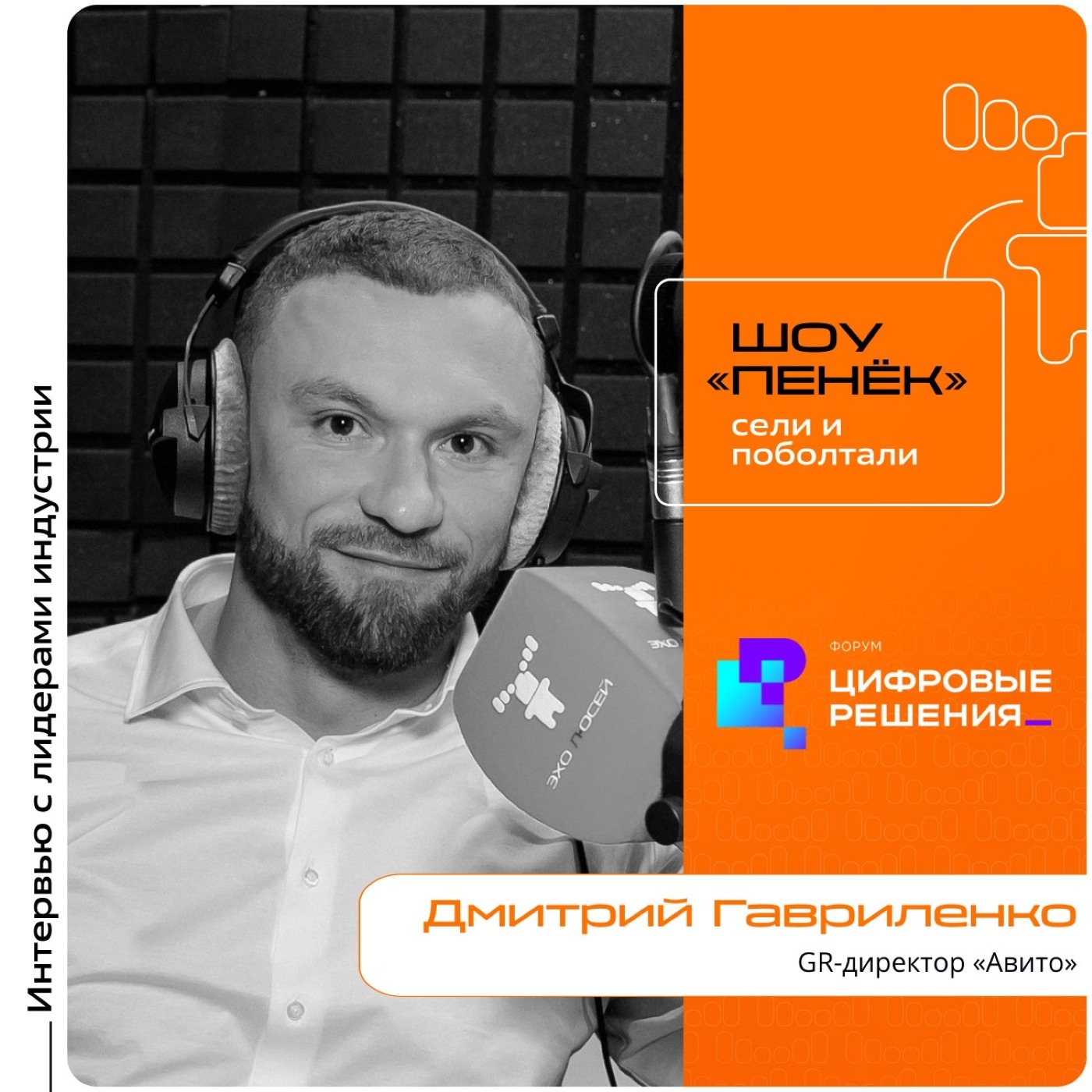 «Цифровые Решения - 2025». Дмитрий Гавриленко, «Авито». Про партнёрство с государством, помощь предпринимателям и ИИ в креативной индустрии