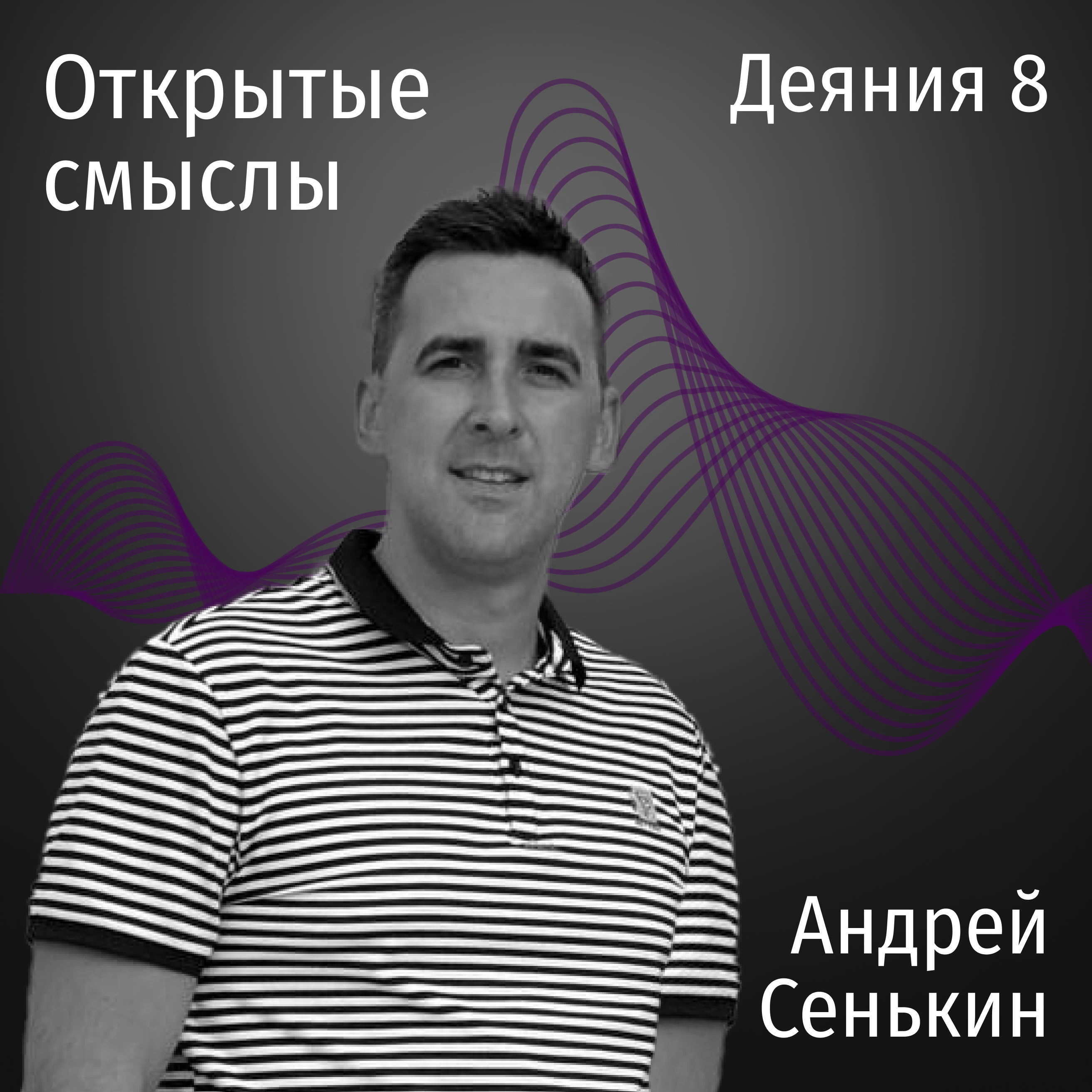 Деяния 8 глава - Андрей Сенькин - ОТКРЫТЫЕ СМЫСЛЫ episode artwork