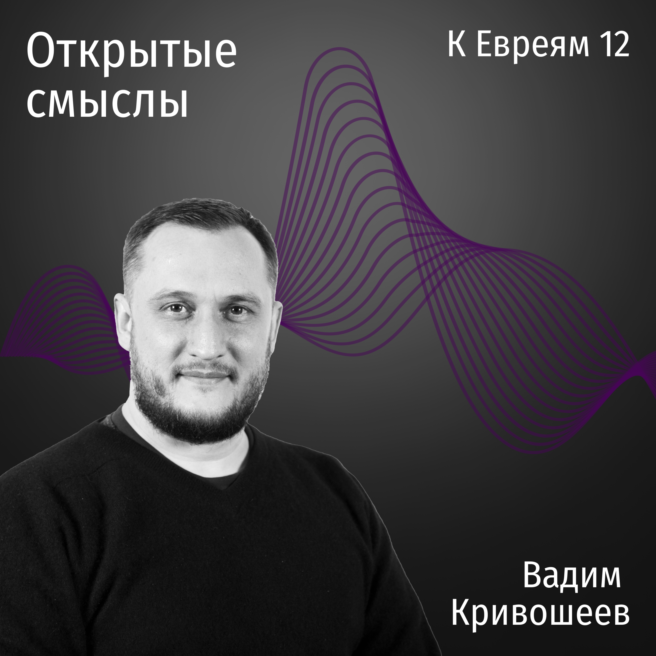 Послание к Евреям 12 глава - Вадим Кривошеев - ОТКРЫТЫЕ СМЫСЛЫ episode artwork