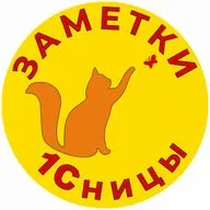 Интервью с 1Сником. Павел Ванин. Как 1Сник стал психологом