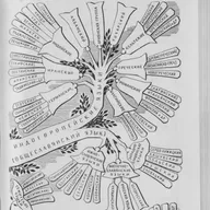 Русский язык в генеалогической классификации языков