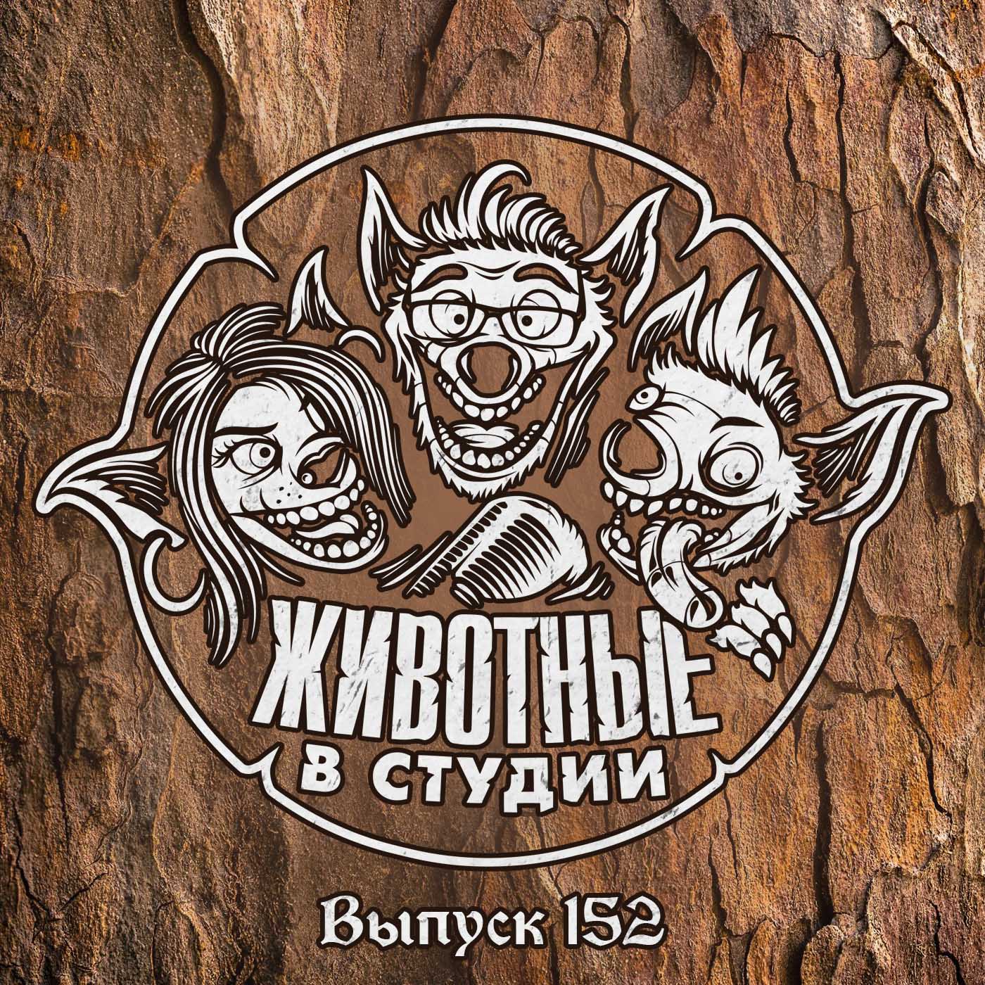 Выпуск 152. Луп полный Пуп episode artwork