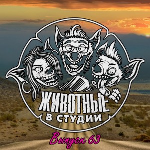 Выпуск 63. Китайский бильярд episode artwork