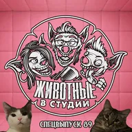 Спецвыпуск 89. В подкаст через постель — вся правда о личной жизни Романа