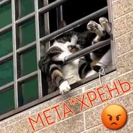 Метахрень