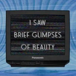 Я видел проблески красоты